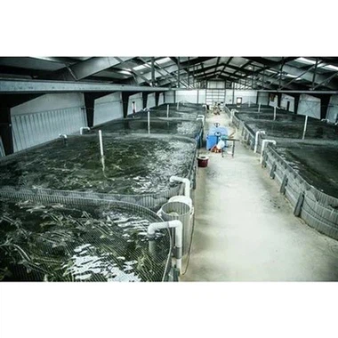 Bâtiment de la ferme piscicole